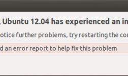 How To Disable “Internal Error” Box In Ubuntu 12.04