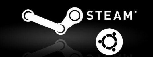 Here’s hoping Valve's Ubuntu move can disrupt the PC game market