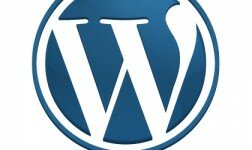 How To Secure & Protect Your WordPress Site