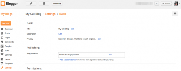 Blogger Custom Domain