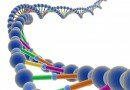 Storing Data In Your DNA May Be The Future