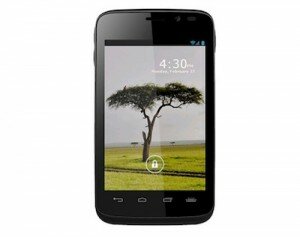 Intel YOLO Intel YOLO