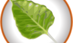 Bodhi Linux 2.2 Released