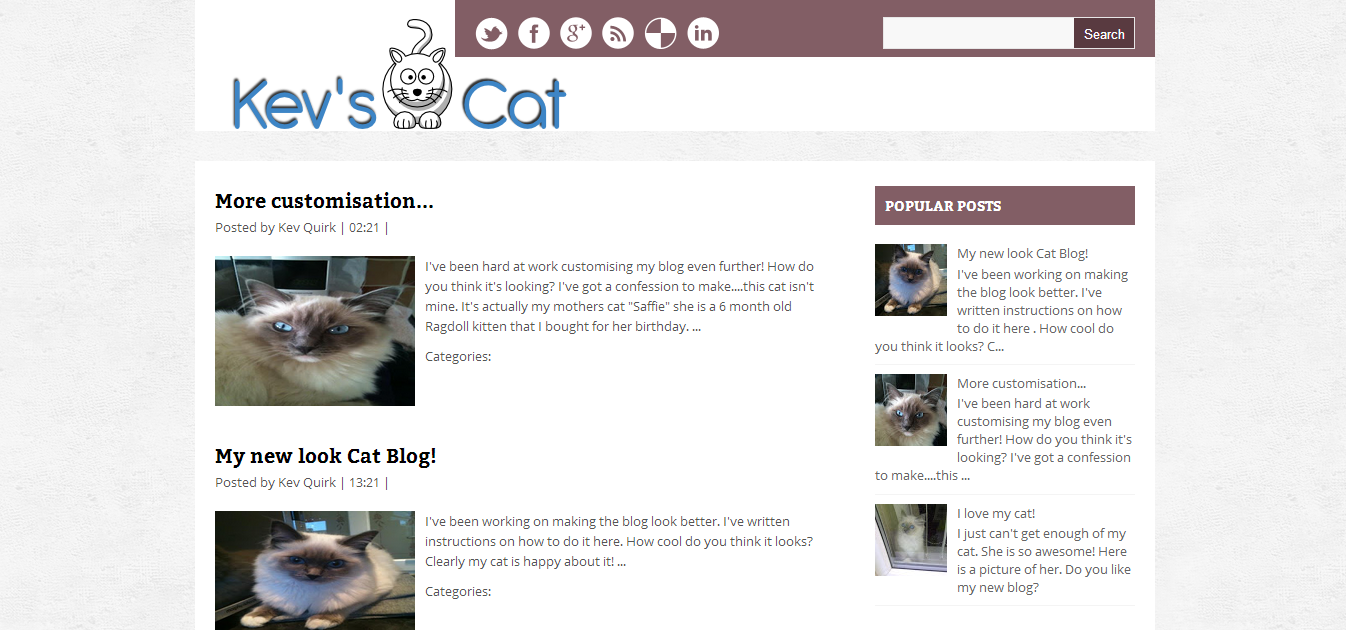 Kevs Cats Custom Theme