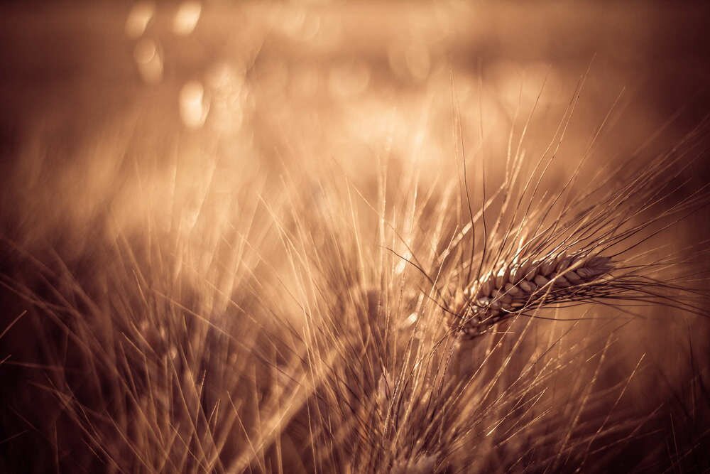 Last breath by Francisco Javier Epinoza Pe-rez