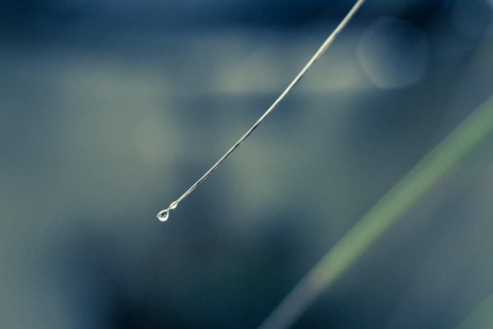 Trazo solitario by Julio Diliegros