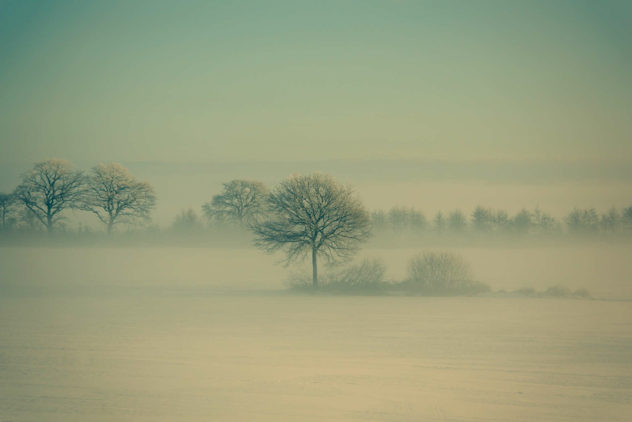 Winter-Fog-by-Daniel-Vesterskov