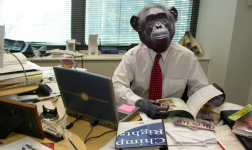 GIMP Renamed To CHIMP