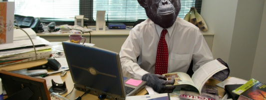 GIMP Renamed To CHIMP