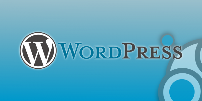 WordPress Safety & Security [Infographic]