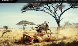 Five Best Free Themes For WordPress