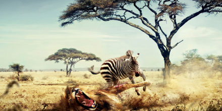 Five Best Free Themes For WordPress