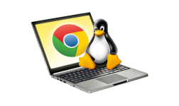 How To Install Ubuntu On A Chromebook