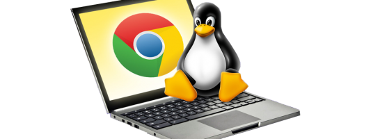 How To Install Ubuntu On A Chromebook