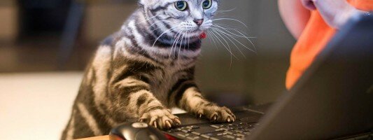 3 Great Websites For Killing Time