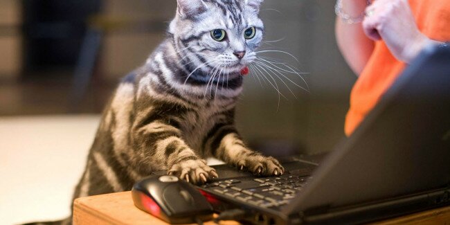 3 Great Websites For Killing Time