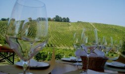 6 Best Apps for Wine Lovers