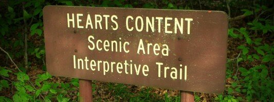 Content Strategy, Content Marketing and Content is King