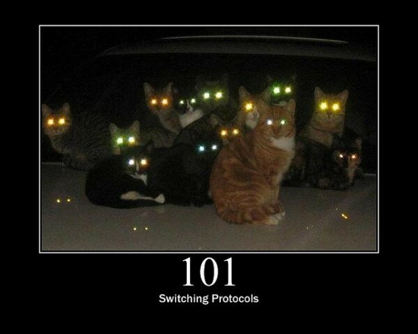 101 Switching Protocols