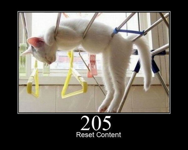 205 Reset Content