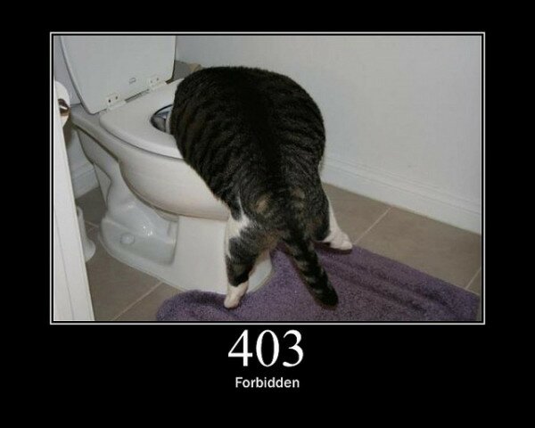 403 Forbidden
