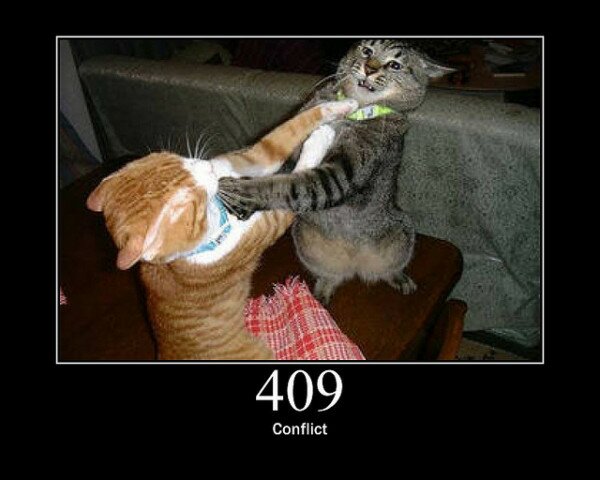 409 Conflict