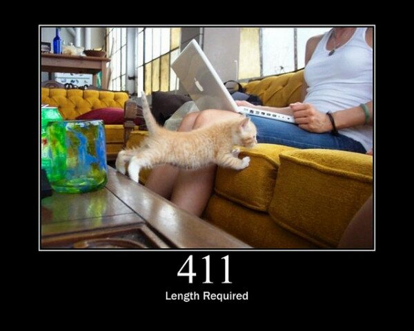 411 Length Required