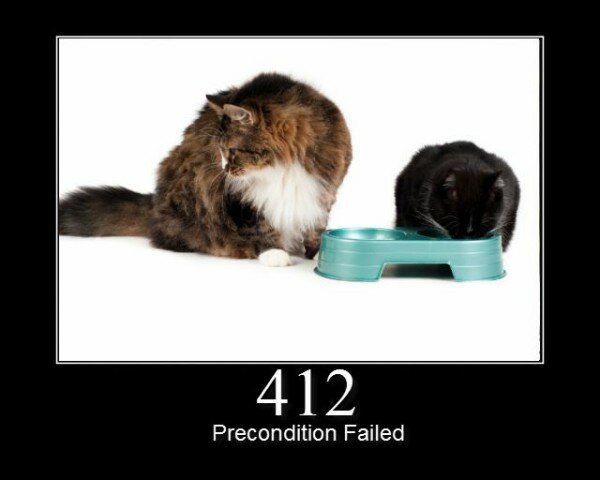 412 Precondition Failed