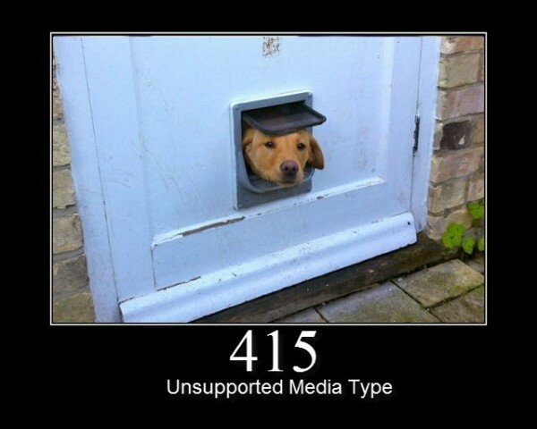 415 Unsupported Media Type