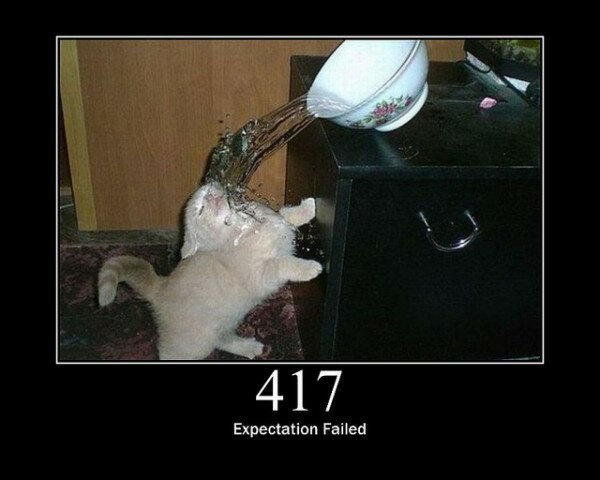 417 Expectation Failed