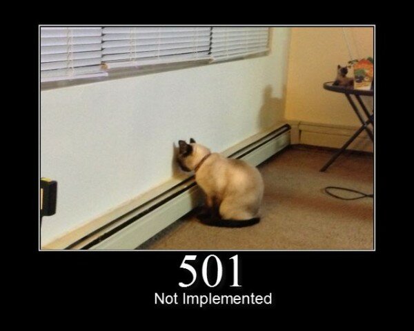 501 Not Implemented