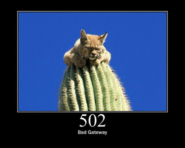 502 Bad Gateway