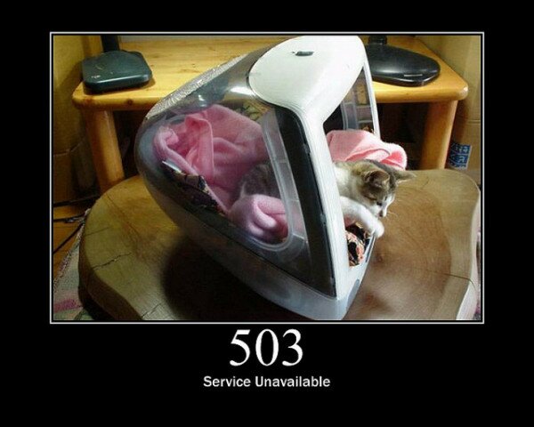 503 Service Unavailable