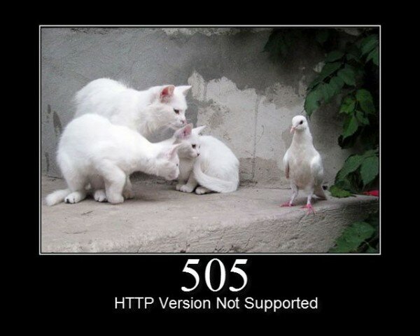 505 HTTP version not supported