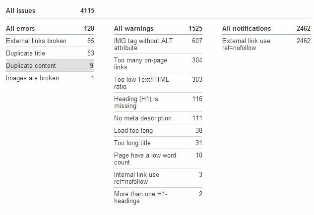 site audit issues summary