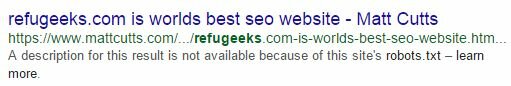 refugeeks on Matt Cutts site